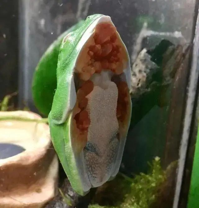 UFO|17张不可思议的巧合照片，你可能一辈子都遇不到！