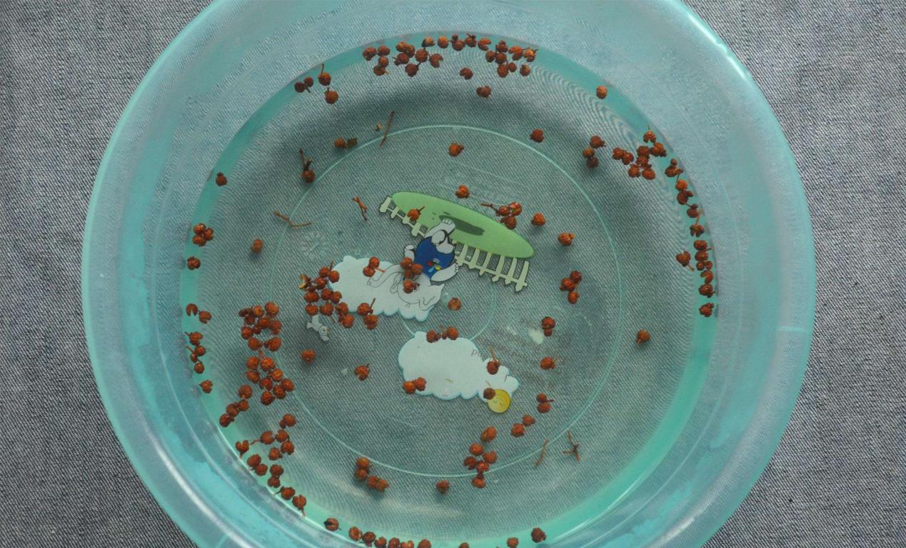 重金属|湿气缠身，百病生！祛湿“冠军”已发现，若是爱喝，排湿气健脾胃