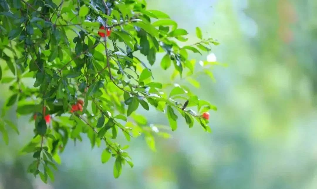 【生肖】5月中旬复工起，将会百事大吉，4生肖大手大脚发大财，喜事不离身