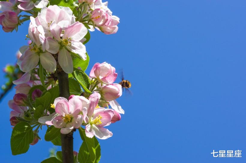 「属鸡」求财顺利的3生肖，挺起腰杆做人收入翻倍，谁都惹不起