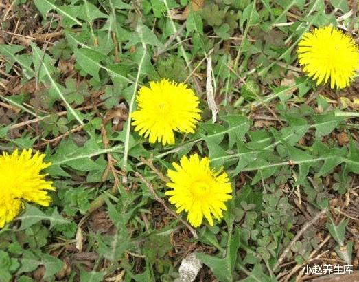 「肝脏」50岁后癌症“高发期”,身体出现“3多2黑”,最好去检查一下!