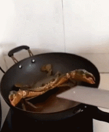 大爷|大爷就是你大爷，这望远镜钓鱼，鱼都害怕