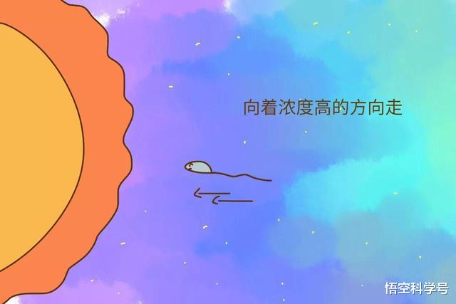 #隔离#为什么人类会有“生殖隔离”？生殖隔离是什么原理？