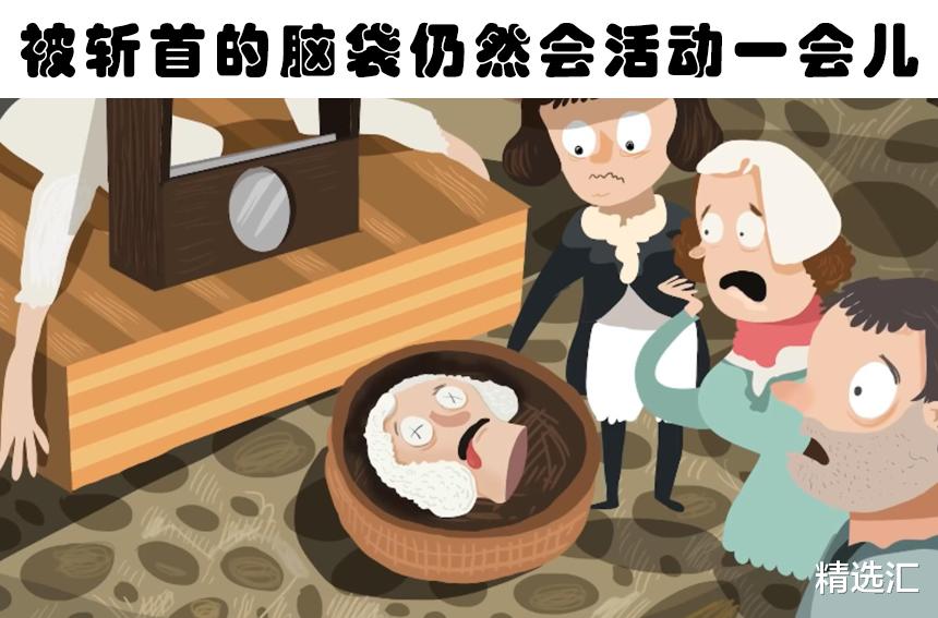 乌鸦|即便“学富五车”的人也未必了解的7个冷知识
