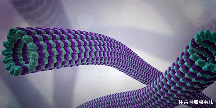 |人体内存在一台量子计算机,你的灵魂可能真实存在,就在身体的这个地方