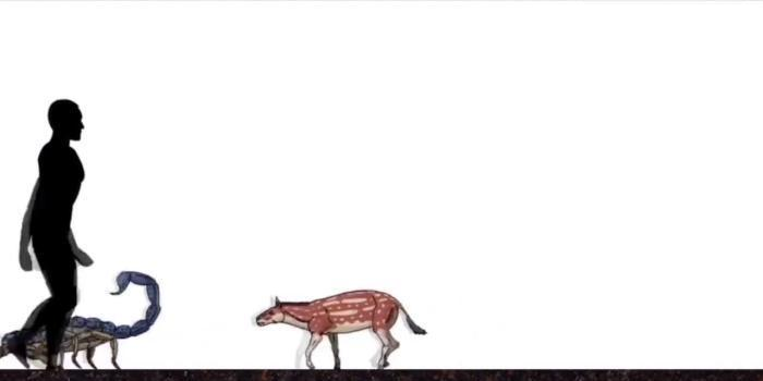 恐龙|远古时期的地球, 曾存在过的可怕生物, 今已全部灭绝