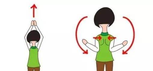 三角肌▲经典动作“绳索面拉”了解一下！练背还是练三角肌？