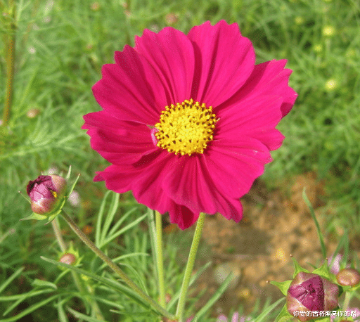 生肖|9月12号开始,4属相好运连连,大发横财,升职加薪,步步高升