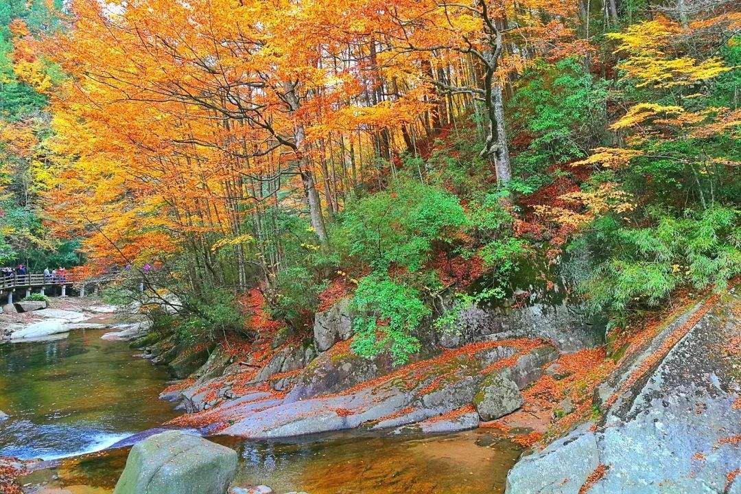 购房置业|秋天中国最美的10个旅行地，看到第一个，我就忍不住了