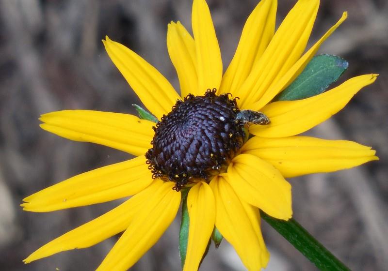 摩羯座|10月份开始，运势大爆发，腰缠万贯，有贵人相助的四生肖