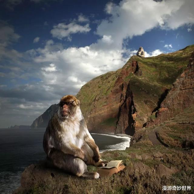 |动物们变大几百倍后的世界,巨物恐惧症患者:要窒息了