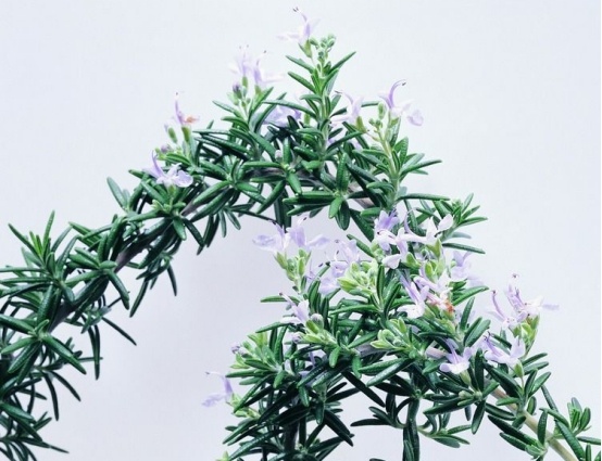 不想家人被它所害，两个错误认知要摒弃！这3方法可除醛