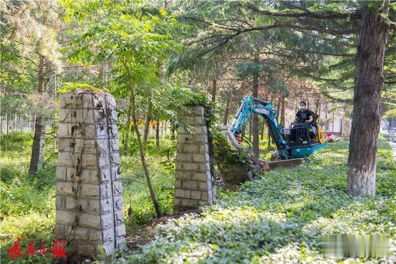 #地方时政#南湖公园15天后又有大变化！