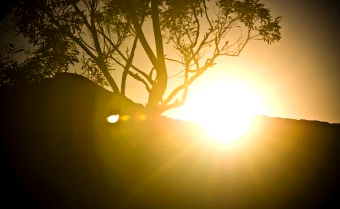 「运势」2020年注定好运缠身，桃运暴涨，时来运转，家人收获好运