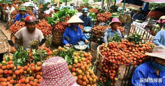 #越南#越南禁止出口大米,致国际粮价飙高,网友:那我们不吃越南水果了