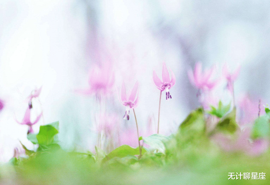 高峰|未来三天，最让人羡慕的4个星座，职场登高峰，晋升不是问题