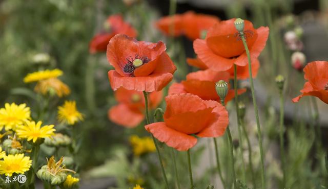 「生肖」5月上旬财运逆袭，横财发不尽，钞票属不停，8天内大富特富3生肖