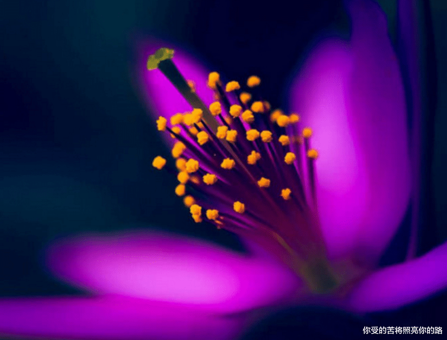 #生肖#十二生肖中，六月份，3生肖横财降临，喜气从天降，钱财八方来