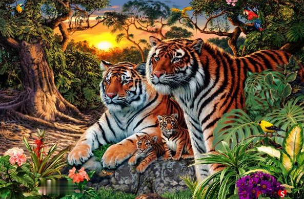 老虎|最准老年痴呆测试：图中有多少老虎？4只以内晚期，12只以上年轻