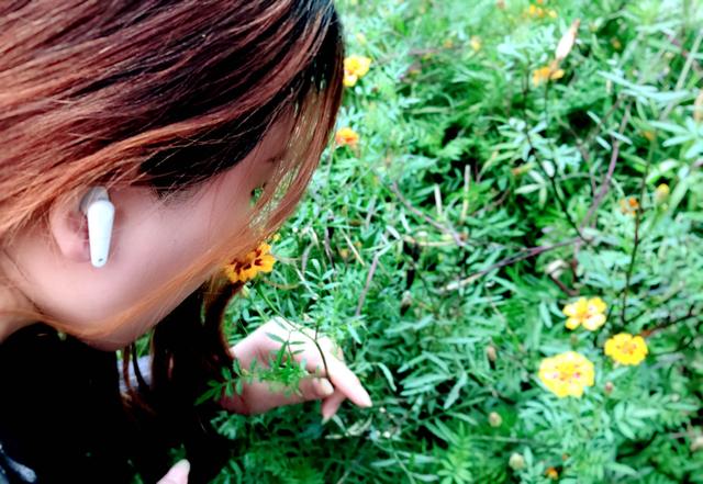 清涧|很便宜，入门刚刚好！把玩西圣ASN蓝牙立体声耳机