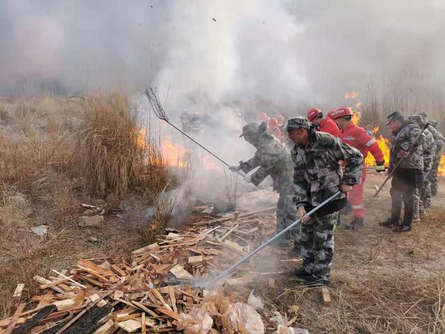 德阳日报 什邡开展森林防灭火“双盲”实战演练