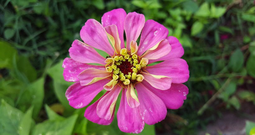 「运势」未来两个月喜鹊登门送喜，横财发、事业火，贵人相助的四属相