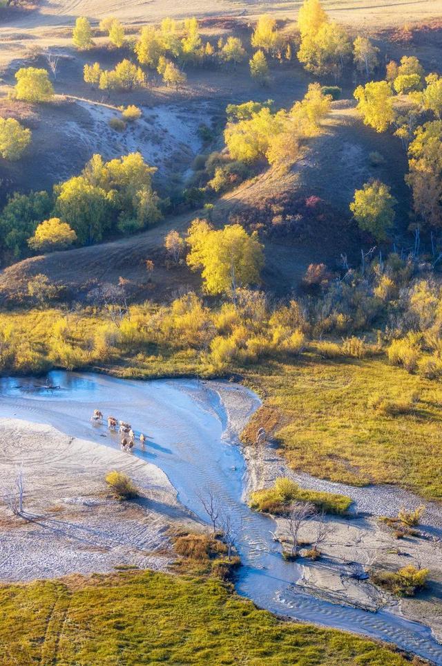 胡杨林|再过30天，全世界都要羡慕死中国了