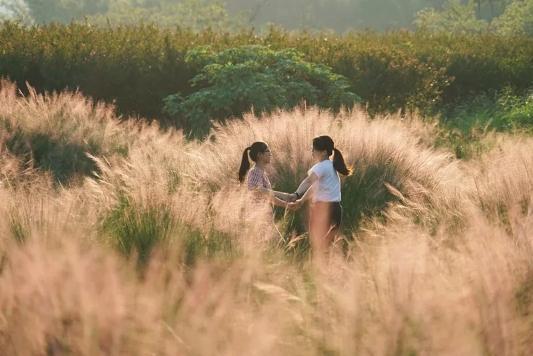 英西峰林|藏在清远英西峰林的绝美浪漫粉色花海，走入其中仿佛进入爱丽丝仙境。
