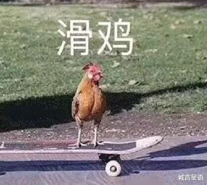 数学|没有被引导的普职比，你都不知道高考的独木桥有多窄