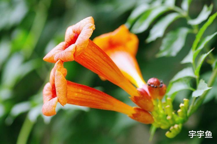 |2020年财运旺起来,正财和偏财都来到,四属相事业兴旺,财运亨通