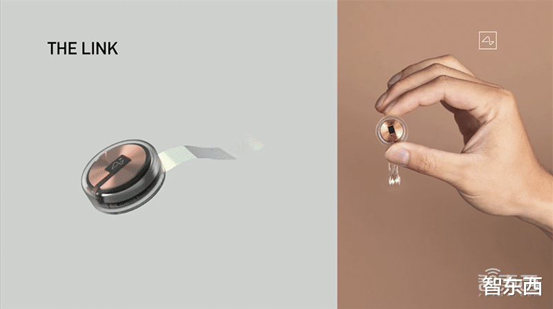 深圳市|马斯克推脑机接口芯片！1小时安装睡觉时充电，植入活猪现场遛很快人体试验