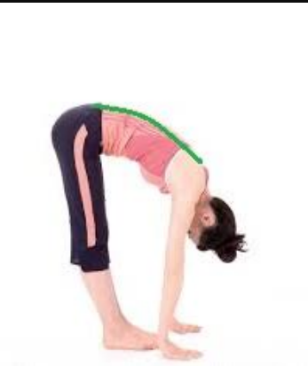 「」要让跑步的速度变快!必做的五种功能性训练