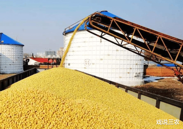 |玉米疯涨破5年新高！背后原因揭晓！专家提醒：别惜售，别屯粮！