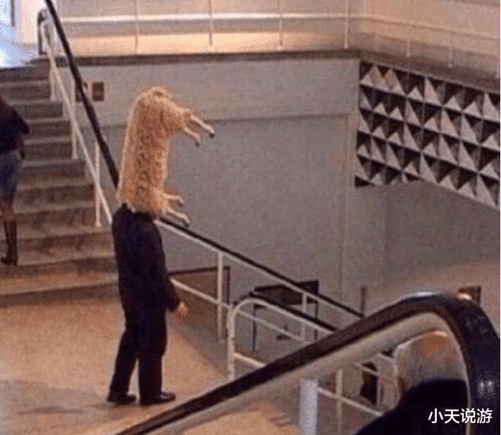 []“房子装修好了，总感觉得哪里不对劲...这阳台是....？”哈哈哈