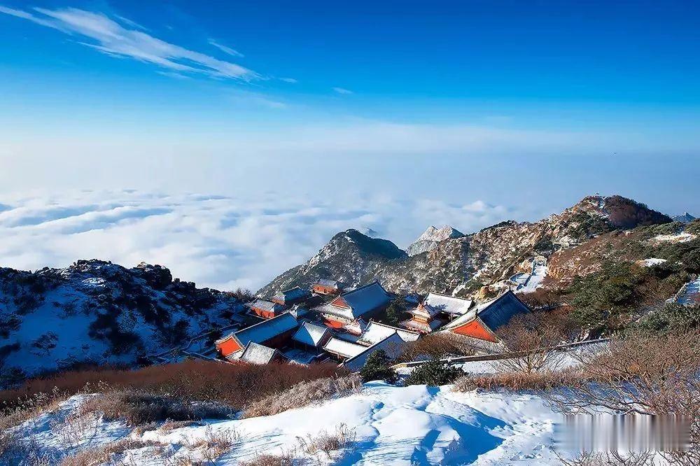 泰安|瑞雪丰年，国泰民安！看，泰安今冬第一场雪，下成这般仙境模样！