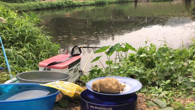 【】曾经无数钓鱼人挑战都屡屡失败的山涧野塘，今日前往探钓感慨万千