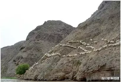 #干旱#世界上面积最大的黄土区