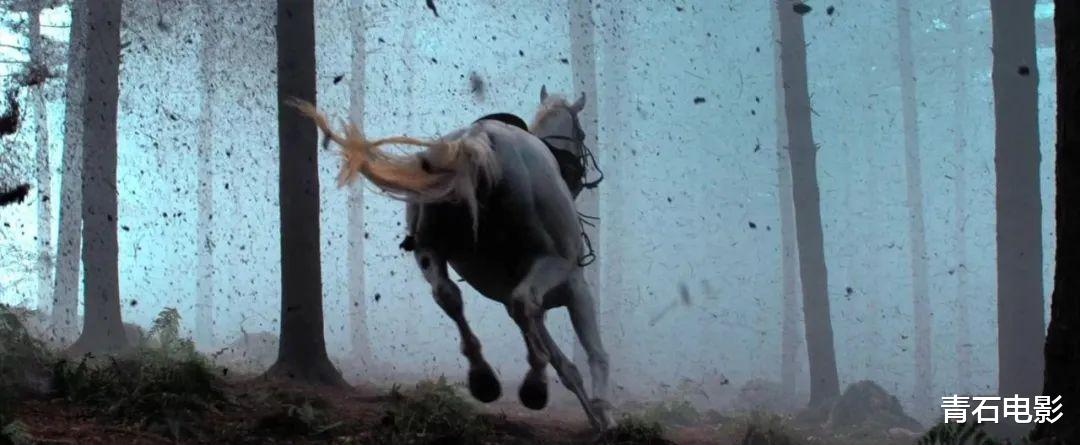 金刚川|看到《金刚川》破纪录，我心情复杂，写下了这篇文章