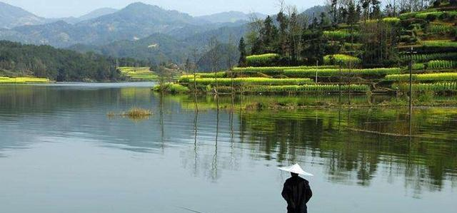 ：仲春鲫鱼不好钓5个正反向选择，让春钓鲫鱼不再难