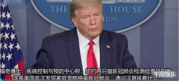 『美国』噩耗！截止4月29日，悲惨消息又从美国传来