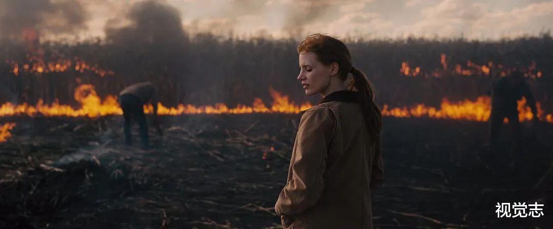 视觉志|台风带来可怕昆虫侵袭：一个袁隆平，帮不了14亿人