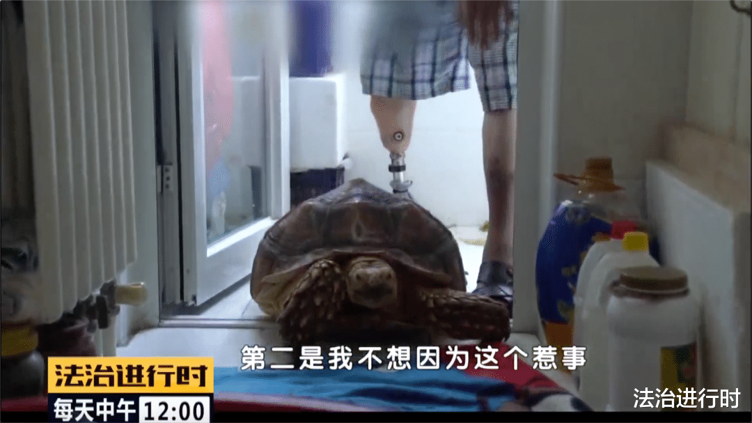 法治进行时|北京:男子在山里捡到“神龟”,饲养7年后才知道它的“身份”