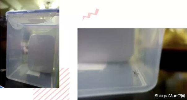 蚊子|小米有品上架驱蚊金钟罩，5分钟蚊子全投降，怕蚊人士：早备上了