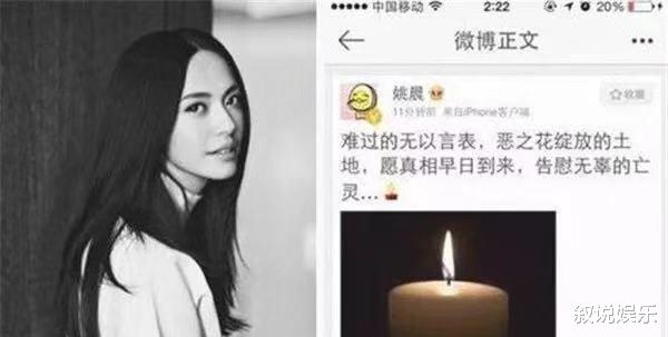 姚晨|姚晨政治错误永不原谅,代言产品被疯狂抵制,恶之花事件太恶劣