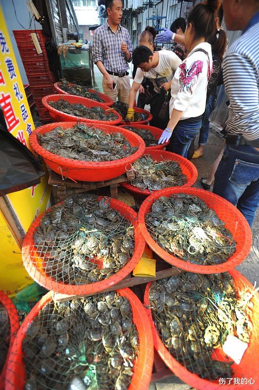 鲨鱼|世界最大的螃蟹有多大？竟可捕食鲨鱼，但吃的时候一定选第2种哦