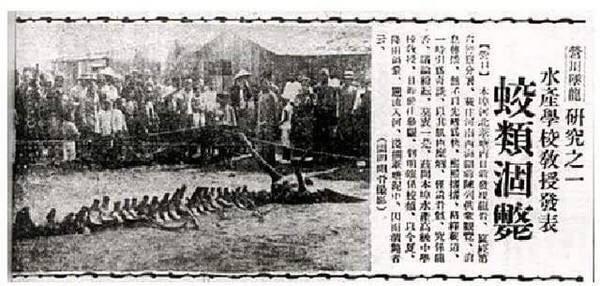 「营口」历史上的“真龙现身”，“营口坠龙”是超自然现象还是科学已知？