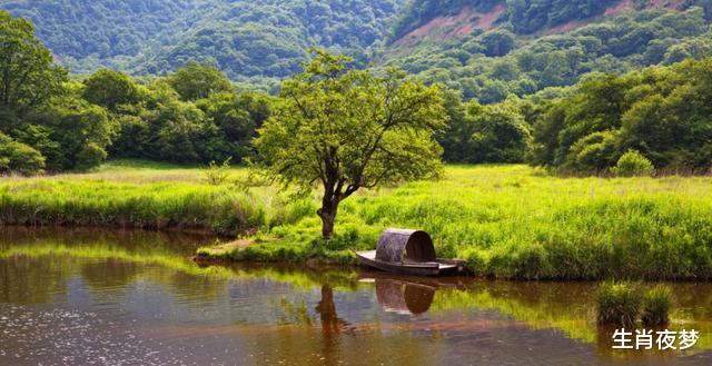 旧爱|8月，爱哭的是你，深爱的也是你，3生肖从一而终，纠缠旧爱不分开
