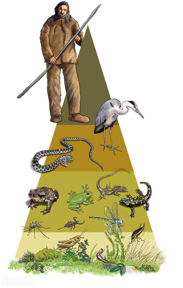 |500年以后，人类会朝着什么样的画风进化呢？