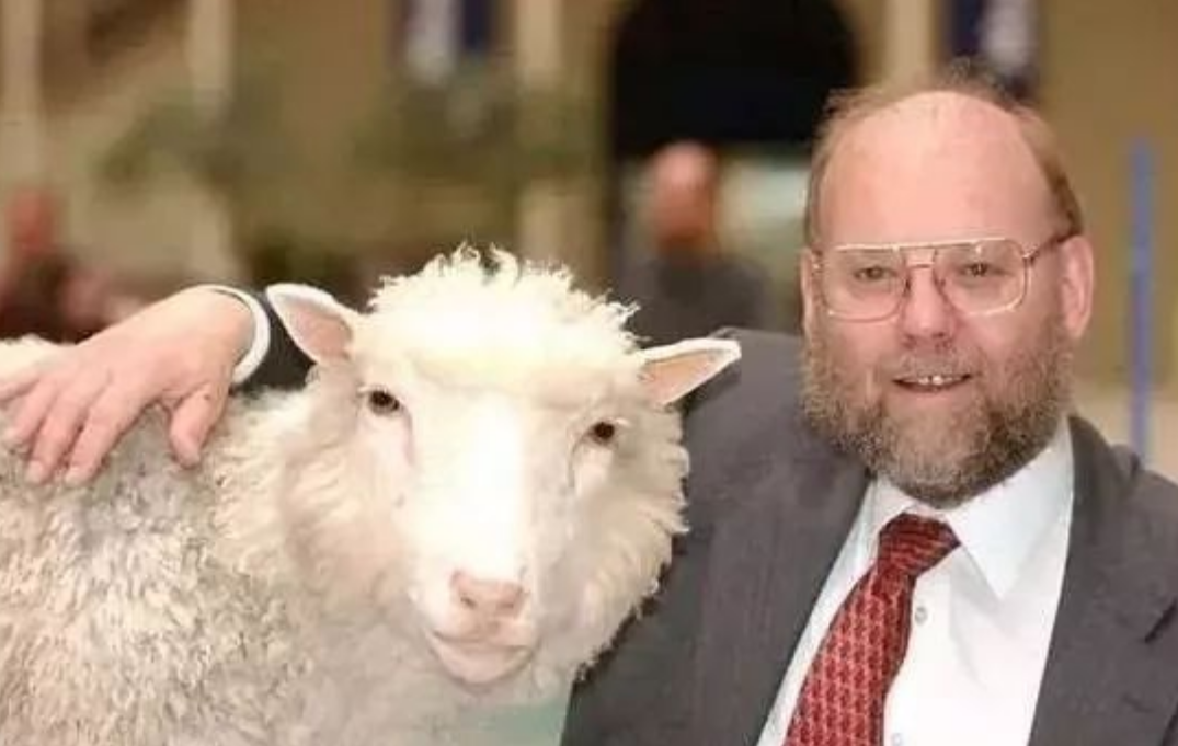 |为何没人再提克隆技术了？看24年前的克隆羊多莉结局，你就明白了