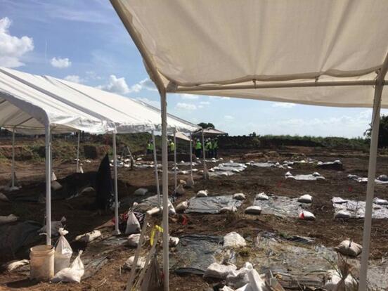 睹图|学校工地挖到一块白骨，随后工人挖出95具尸骨其中一具是女性